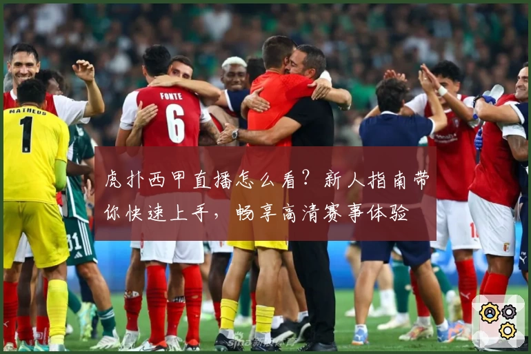 虎扑西甲直播怎么看？新人指南带你快速上手，畅享高清赛事体验