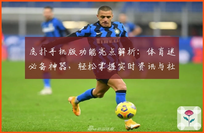 虎扑手机版功能亮点解析：体育迷必备神器，轻松掌握实时资讯与社区互动技巧