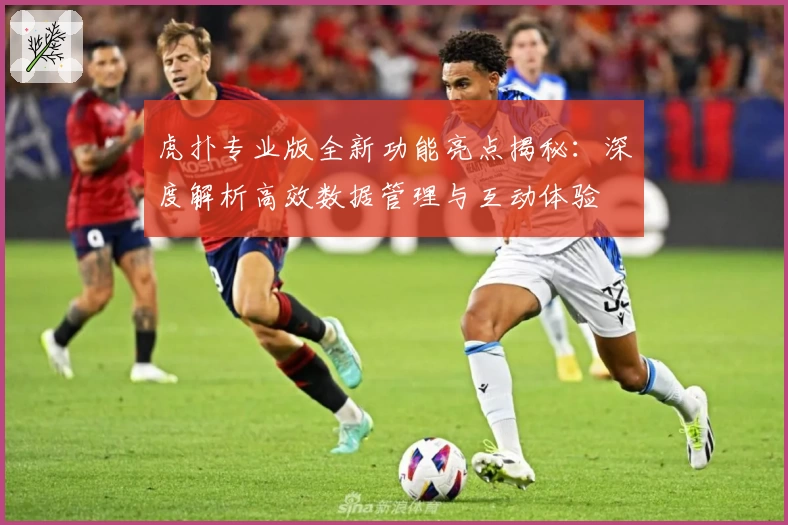 虎扑专业版全新功能亮点揭秘：深度解析高效数据管理与互动体验